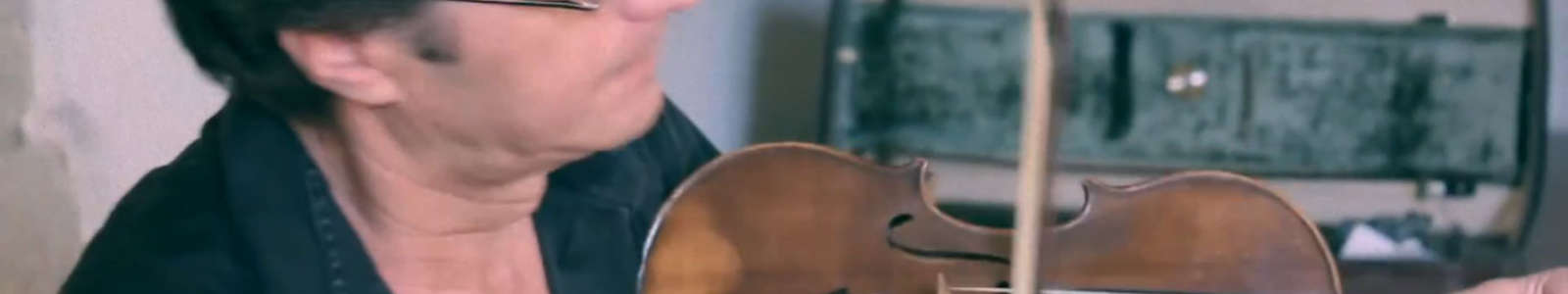 Vincent Morel - Avant-deux du nord Ille-et-Vilaine au violon